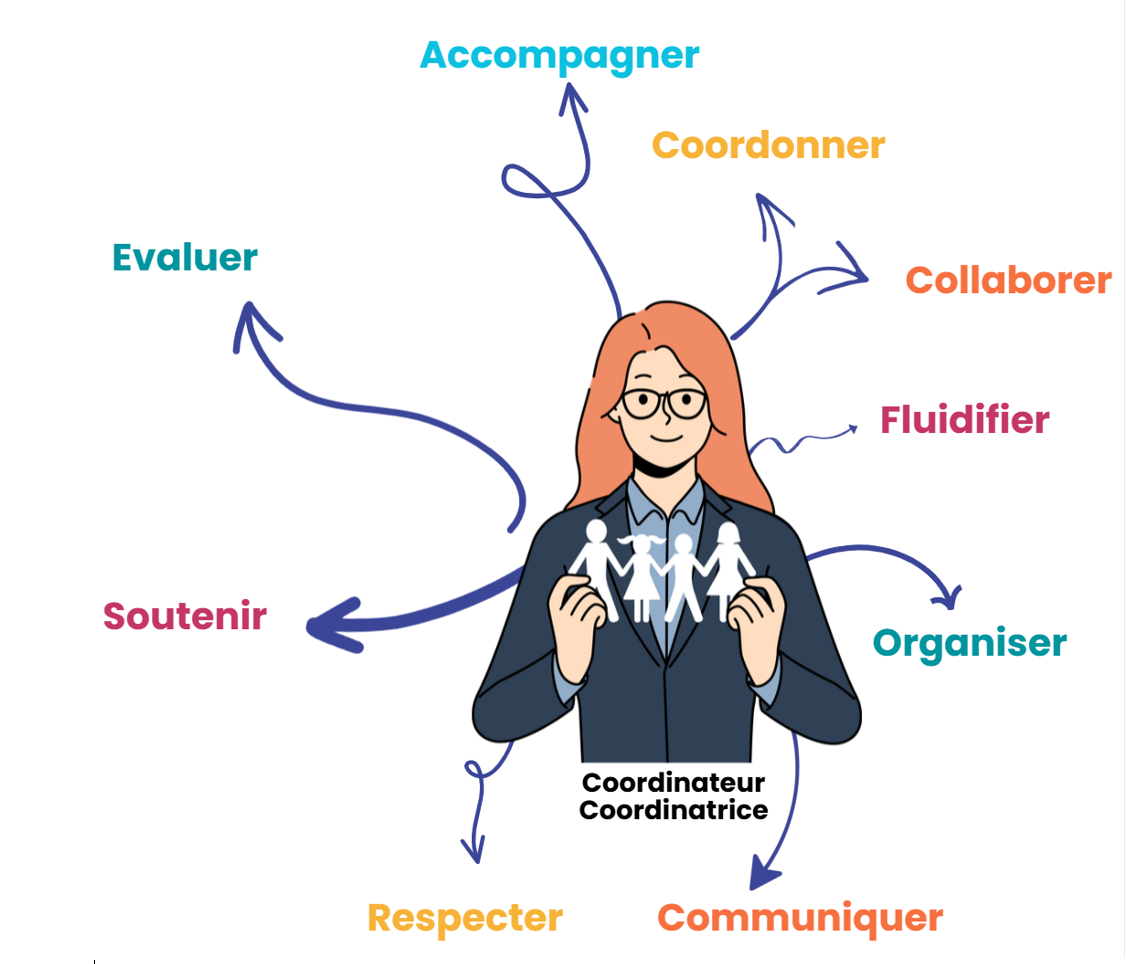 illustration de la coordination